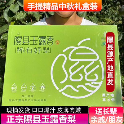 顺丰冠町隰县玉露香梨子礼盒装山西小西天特产黑神话新鲜水果送礼
