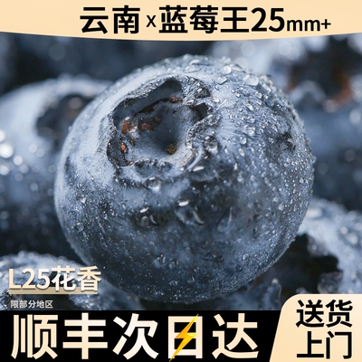 云南花香蓝莓新鲜果高山当季水果l25整箱特大果产地直发顺丰包邮