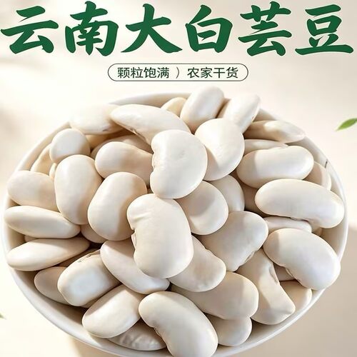 云南农家特大白芸豆干货新鲜腰豆专用云豆类扁豆大白豆子散装食用