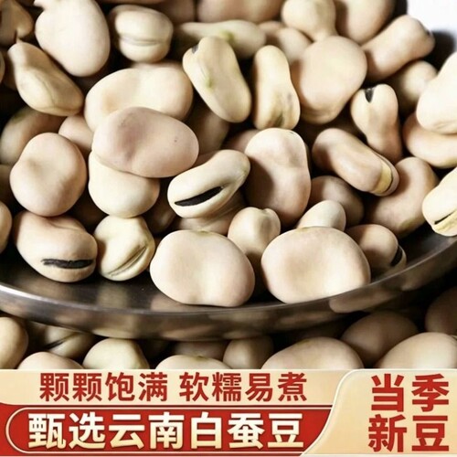 云南白蚕豆50g批发农家新鲜五谷杂粮罗汉豆白皮半斤绿豆新货