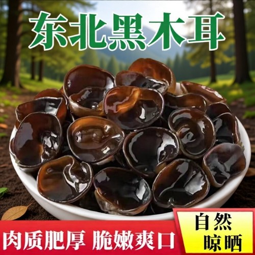 东北小碗耳秋木耳500g长白山正宗特产非特级野生黑木耳干货椴木