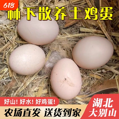 新鲜农家散养土鸡蛋鲜嫩营养