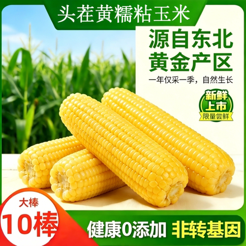 头茬10支新鲜甜糯玉米3锁鲜独立包装甜糯代餐饱腹早餐低脂真空装