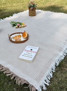 ins野餐垫防潮网红人户外