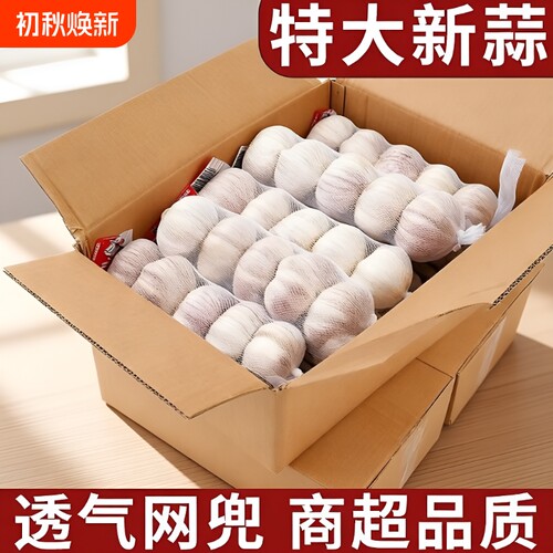 【商超品质】条蒜新干蒜净蒜金乡大蒜头正宗紫白皮大蒜头批发包邮
