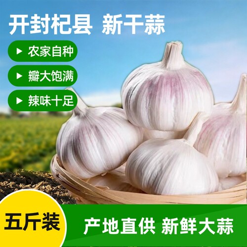 干大蒜河南白皮多瓣蒜头农家直发
