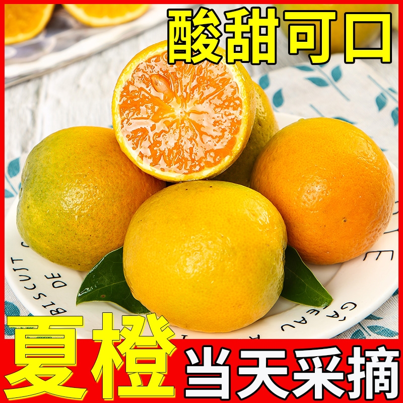 新鲜夏橙时令水果当季整箱手剥脐橙榨汁专用湖北秭归酸甜现摘多汁