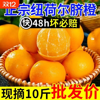 正宗纯甜纽荷尔脐橙子新鲜水果非江西赣州赣南当季大果批发现摘