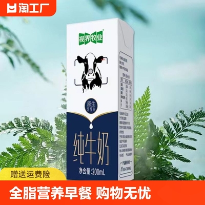 视界牧业 全脂生牛乳纯牛奶营养早餐奶优质乳蛋白200ml*4盒/整箱