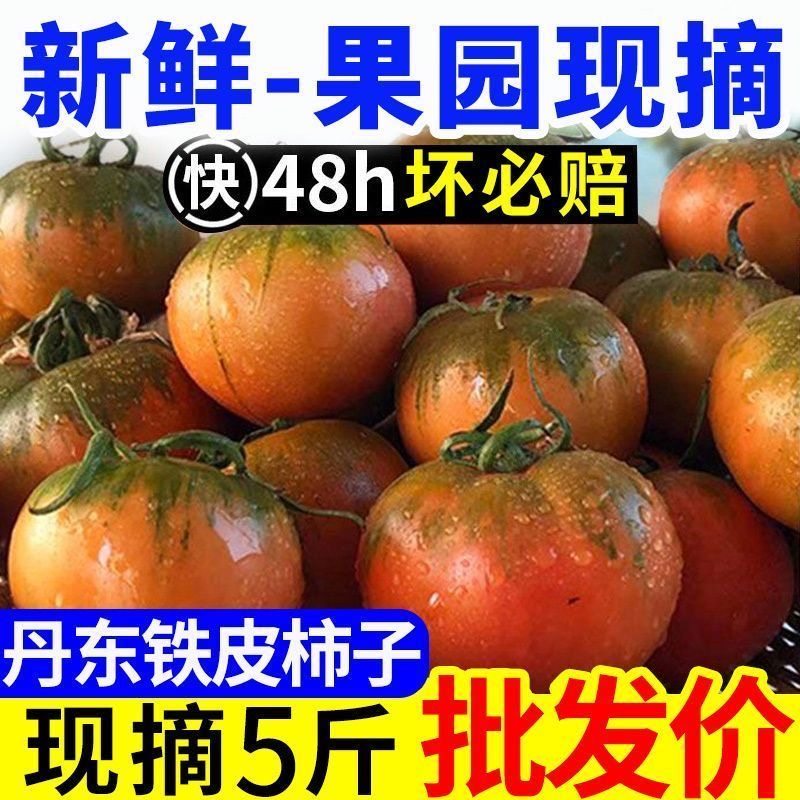 丹东铁皮草莓柿子油柿子碱地柿子草莓番茄泡沫箱装西红柿顺丰包邮,水产肉类/新鲜蔬果/熟食,番茄,淘宝优惠券,粉丝福利购,淘宝优惠卷