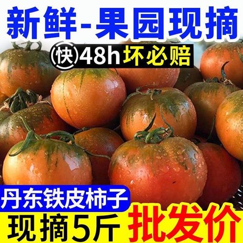 丹东铁皮草莓柿子油柿子碱地柿子草莓番茄泡沫箱装西红柿顺丰包邮