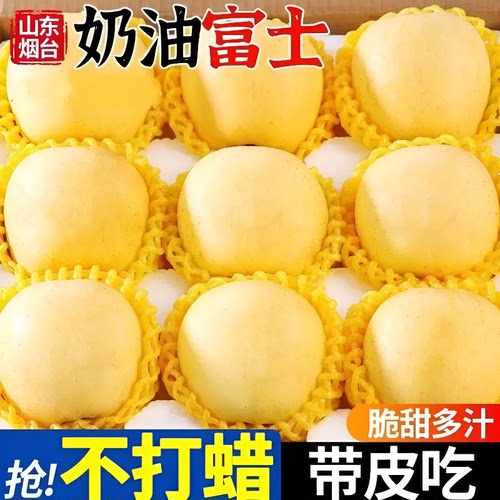 山东正宗黄金奶油富士苹果苹果脆甜奶油味新鲜孕妇水果现摘直发
