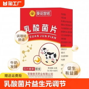 乳酸菌片益生元调节肠道健康肠胃敏感即食益生菌糖果