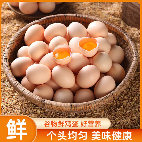 谷饲鲜鸡蛋新鲜初生蛋多枚家庭装