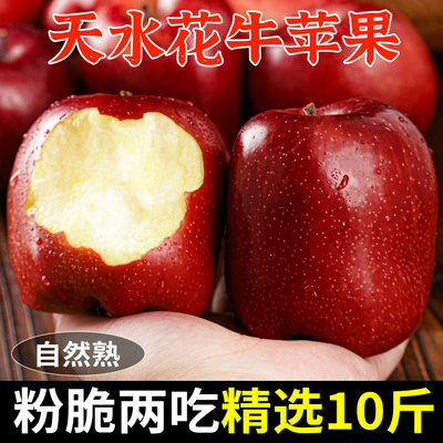 甘肃天水花牛苹果新鲜水果时令红蛇果冰糖心沙果10斤整箱包邮