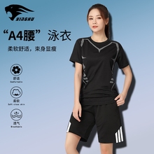 分体泳衣女泡2024新款爆款显瘦遮肚保守长袖运动平角游泳装女冲浪