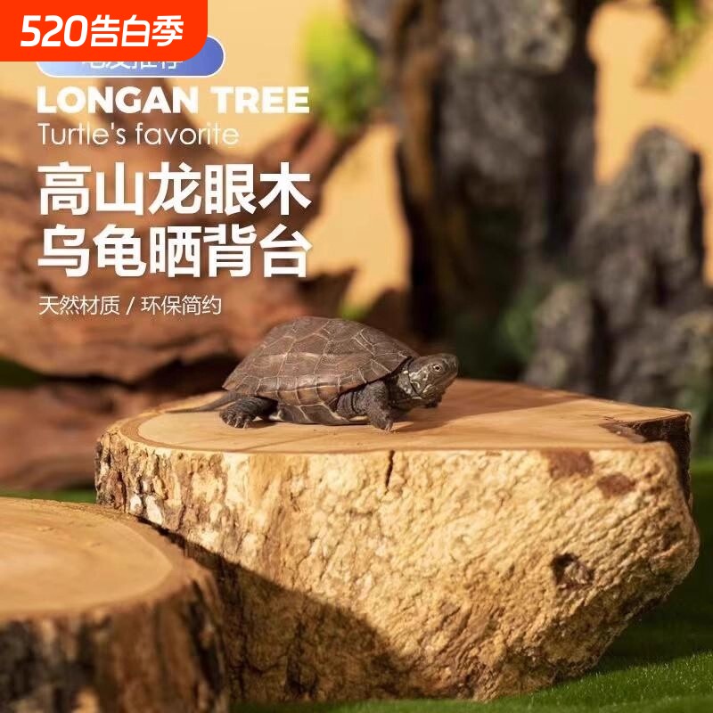 高山龙眼木乌龟晒台龟缸造景摆件天然沉木爬台爬坡休息台防腐皮