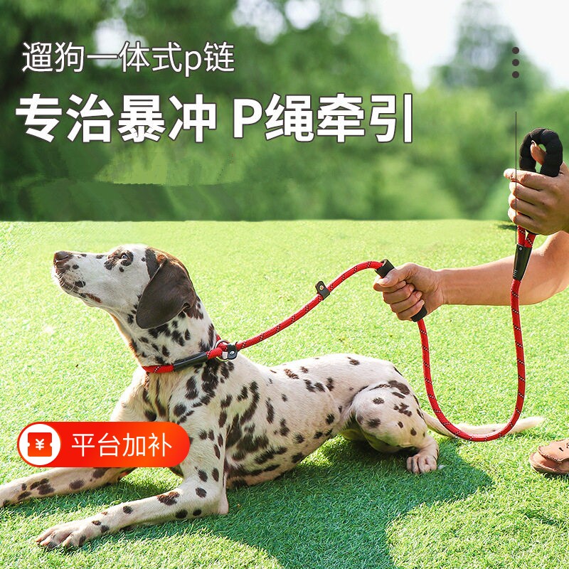 P绳狗狗牵引绳子小中大型犬专业训犬防爆冲金毛萨摩耶宠物遛狗P链