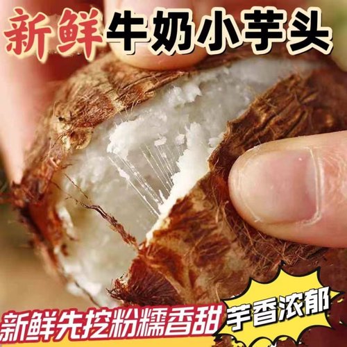 山东芋头香芋新鲜小芋头当季牛奶毛芋仔槟榔荔芋艿蔬菜包邮