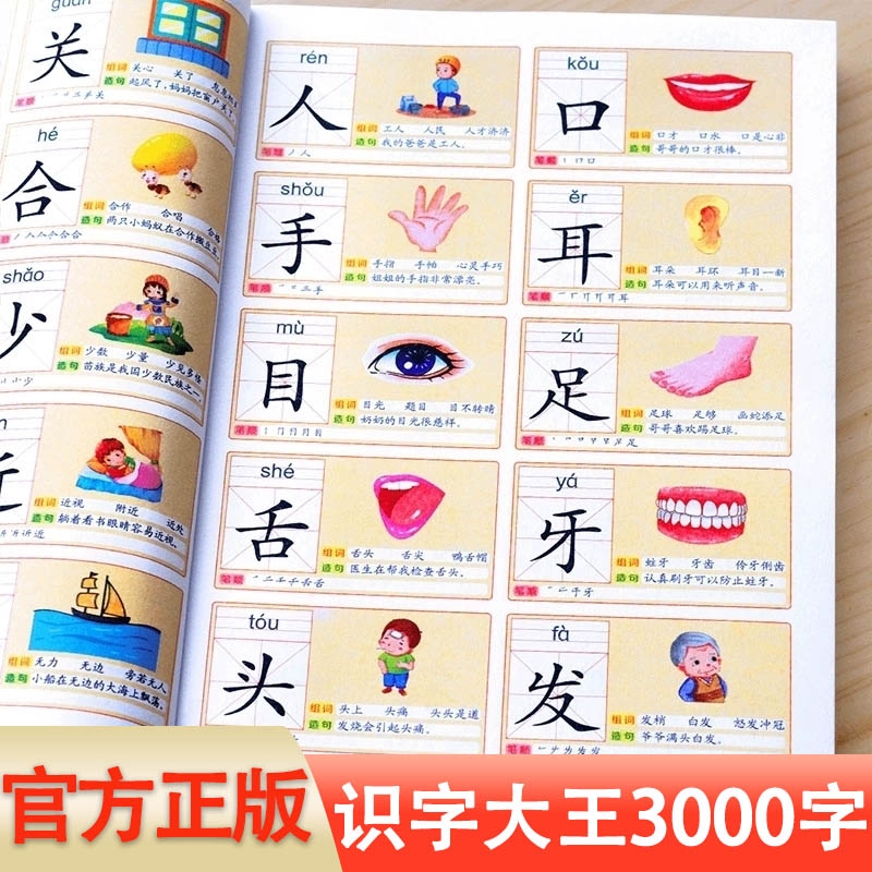 识字书幼儿认字识字大王3000字幼儿园儿童大班学前班宝宝早教启蒙
