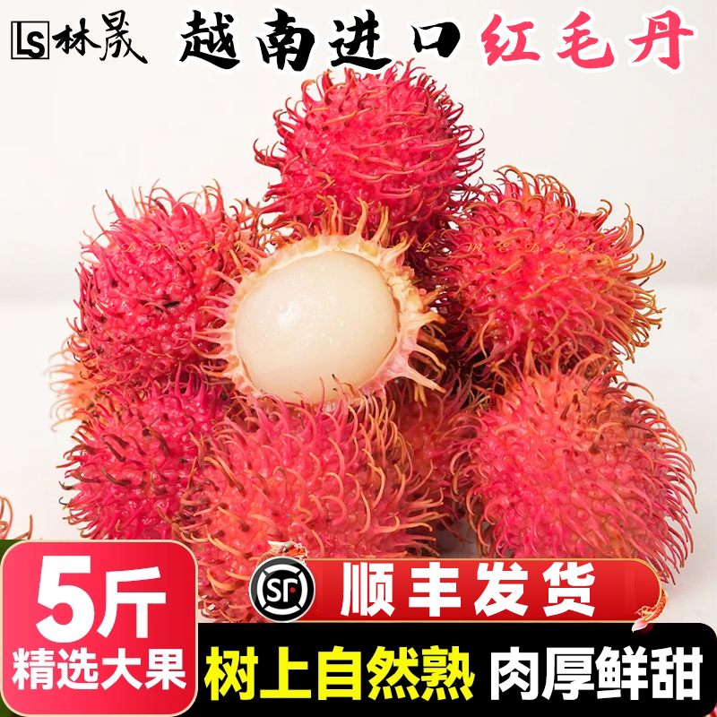 正宗越南进口红毛丹新鲜水果新鲜毛荔枝正宗毛丹果顺丰包邮到家
