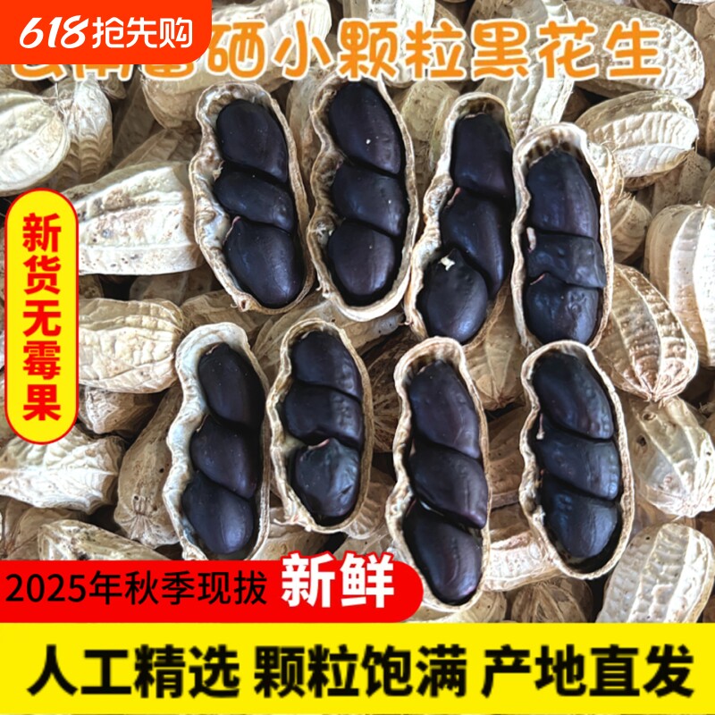 黑花生带壳原味生花生米富硒云南特产黑皮花生米新鲜散装新货健康