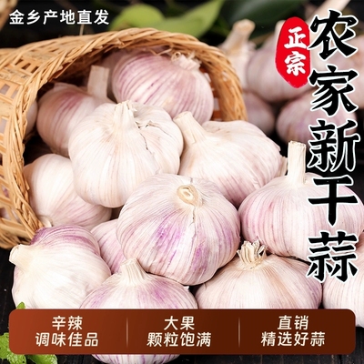 今年金乡新干蒜紫白皮特大干蒜农家大蒜头新鲜多瓣蒜头当季蔬菜
