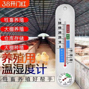 温度计大棚专用养殖家用室内户外干湿一体精准温度湿度计壁挂式