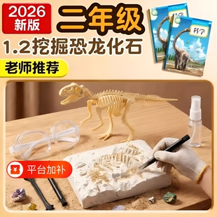 科学实验恐龙化石挖掘玩具套装科学材料模型挖宝化学观察通用组装