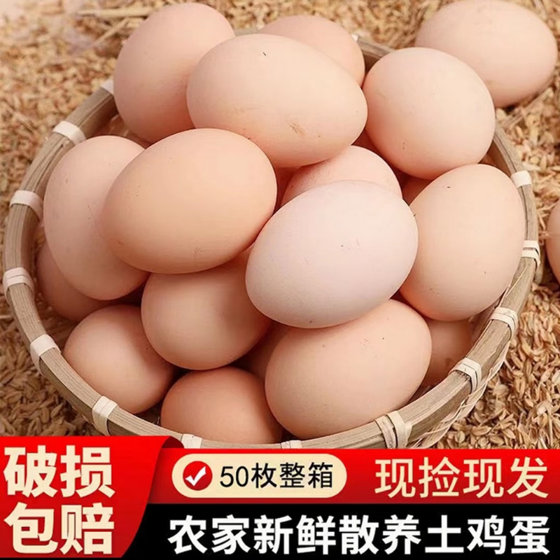 皖南鸡蛋新鲜农村土鸡蛋柴鸡蛋笨鸡蛋林间散养鸡蛋包装现捡包装