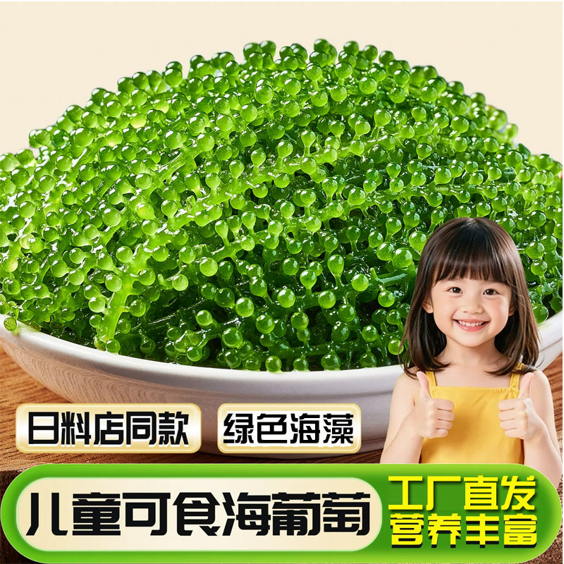 儿童即食海葡萄旗舰店盐渍火锅食材商用批发绿色鱼子酱寿司