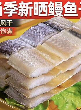 新鲜鳗鱼干鳗鱼块淡干无盐鱼干干货咸鱼干海鲜野生风干鳗鱼段深海