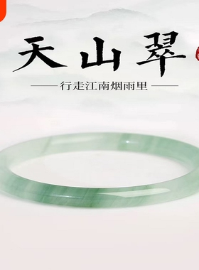 天山翠手镯手链精致女款细条玉镯仿冰透飘花款小众镯子半山细圆条