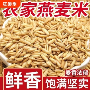 云南燕麦米当季农家自种燕麦仁全胚芽燕麦五谷杂粮粗粮批发健康