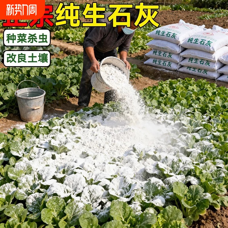 生石灰粉杀虫种菜消毒驱虫刷果树木土壤干燥剂稻壳杀菌草木灰防虫