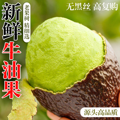 秘鲁进口牛油果奶油宝宝孕妇水果新鲜水果鳄梨奶即食细腻当季