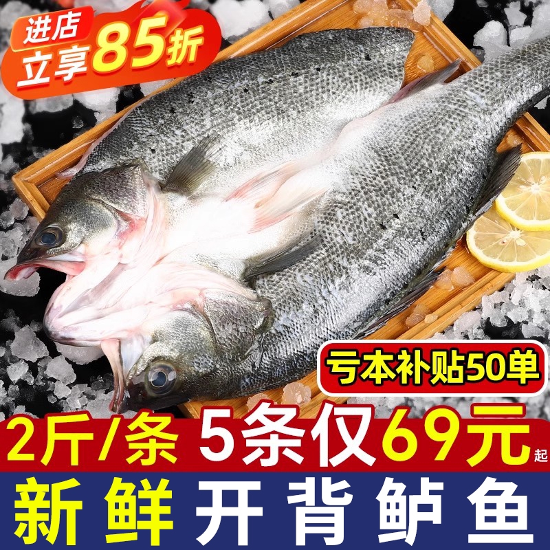 鲈鱼新鲜海鲈鱼开背冷冻商用鲜活白蕉特大三去一卤烤鱼半成品水产