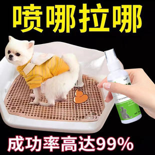 狗狗定点排便神器上厕所诱导剂防止乱拉屎大小便训练宠物固定加高