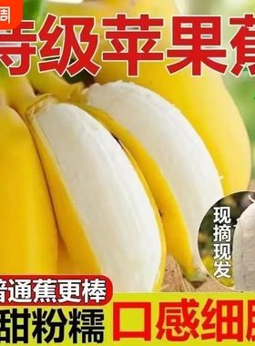广西正宗苹果粉蕉当季水果大芒果新鲜香蕉孕妇芭蕉蕉大果台农芒