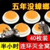 Товары от 天天特卖工厂