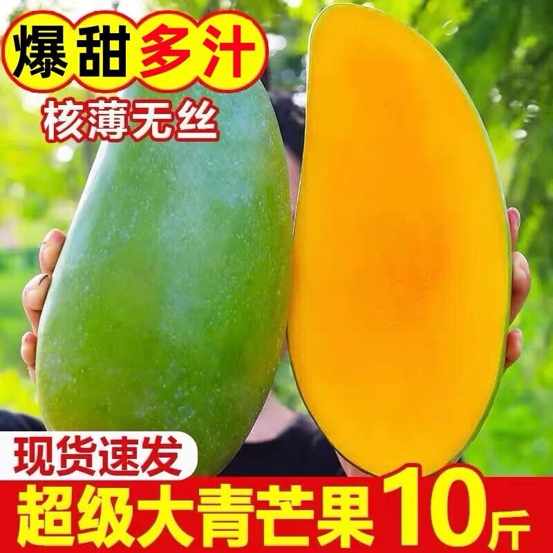 海南大青芒果特大果10斤应季新鲜水果青皮金煌甜心芒大果产地直发