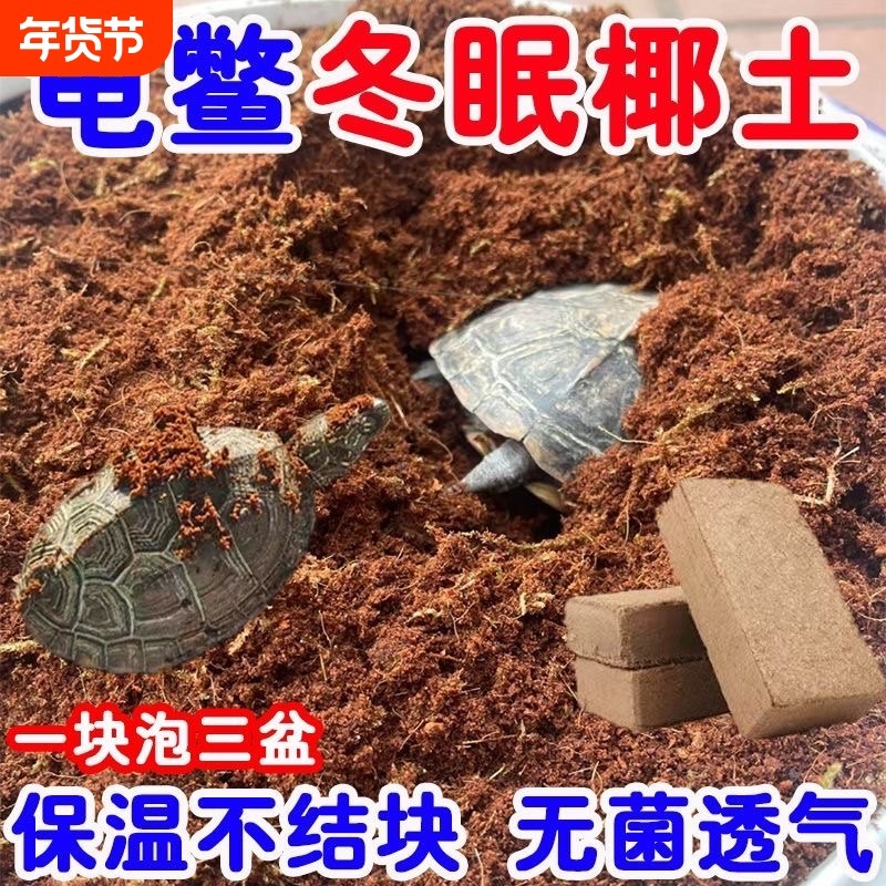 椰砖营养土乌龟冬眠爬宠椰糠土干苔藓缸过冬装备寄居蟹专用宠物,鲜花速递/花卉仿真/绿植园艺,介质/营养土,淘宝优惠券,粉丝福利购,淘宝优惠卷