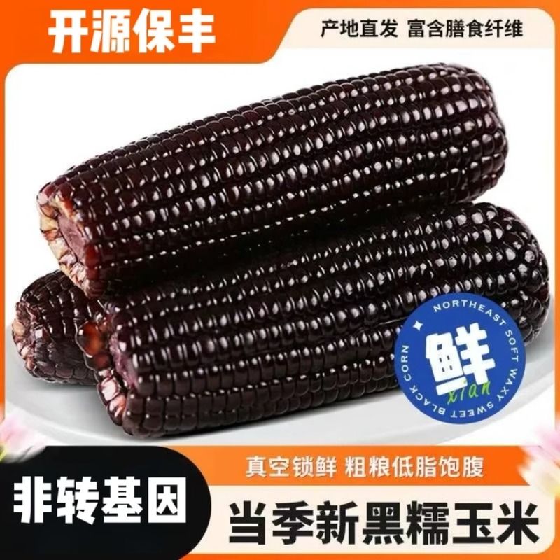 2025东北黑糯玉米新鲜真空装加热即食甜糯粘玉米黏苞米早餐代餐