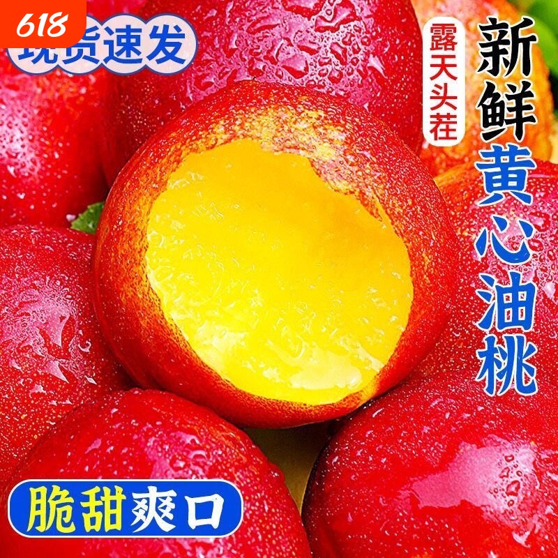 【平晏果园】黄心油桃新鲜孕妇水果当季整箱水密黄肉脆油桃子批发