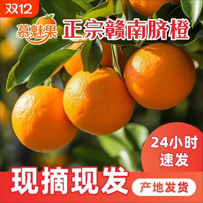 正宗赣南脐橙爆甜多汁现摘现发