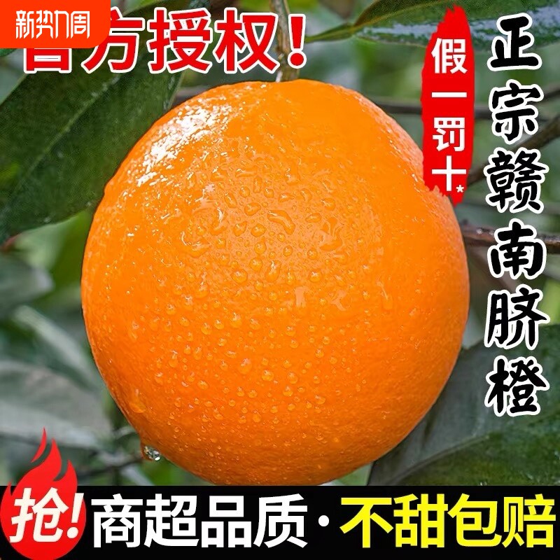 正宗赣南脐橙新鲜橙子当季水果甜果冻橙大整箱包邮江西官方旗舰店