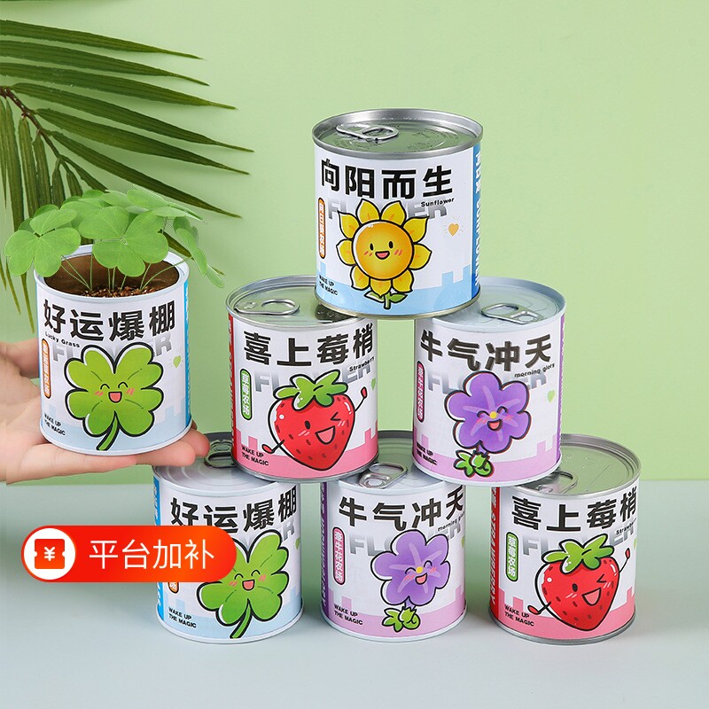 学生小礼品种植小盆栽罐头幼儿园创意小礼物植物盲盒含羞草牵牛花