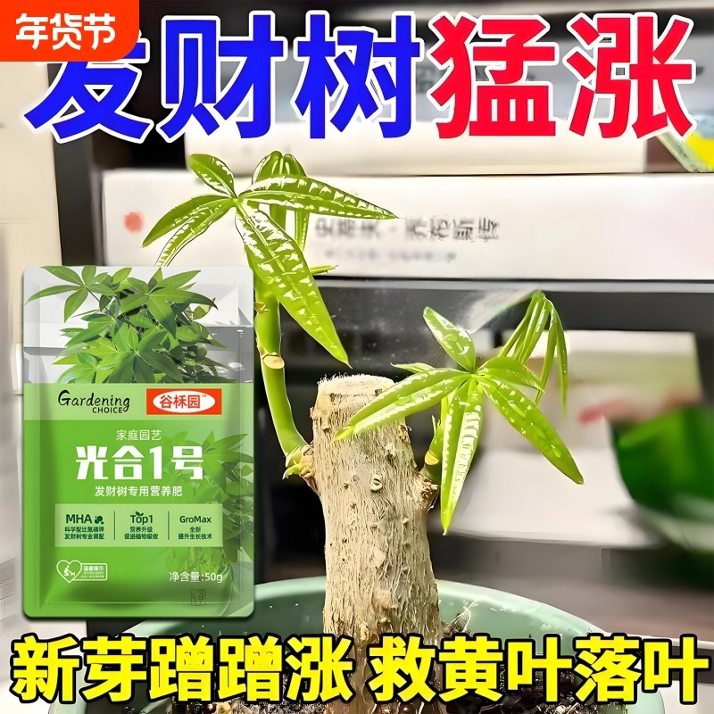 发财树肥料专用肥治叶子发黄烂根掉叶室内盆栽花卉植物通用型花肥,鲜花速递/花卉仿真/绿植园艺,家庭园艺肥料,淘宝优惠券,粉丝福利购,淘宝优惠卷