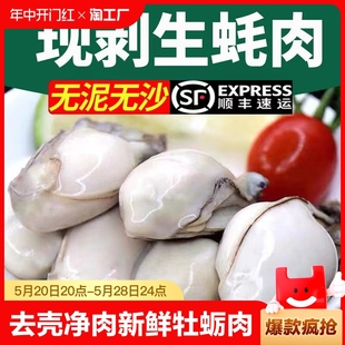 新鲜乳山生蚝肉鲜活速冻现剥生蚝肉去壳净肉冰鲜新鲜去壳牡蛎肉