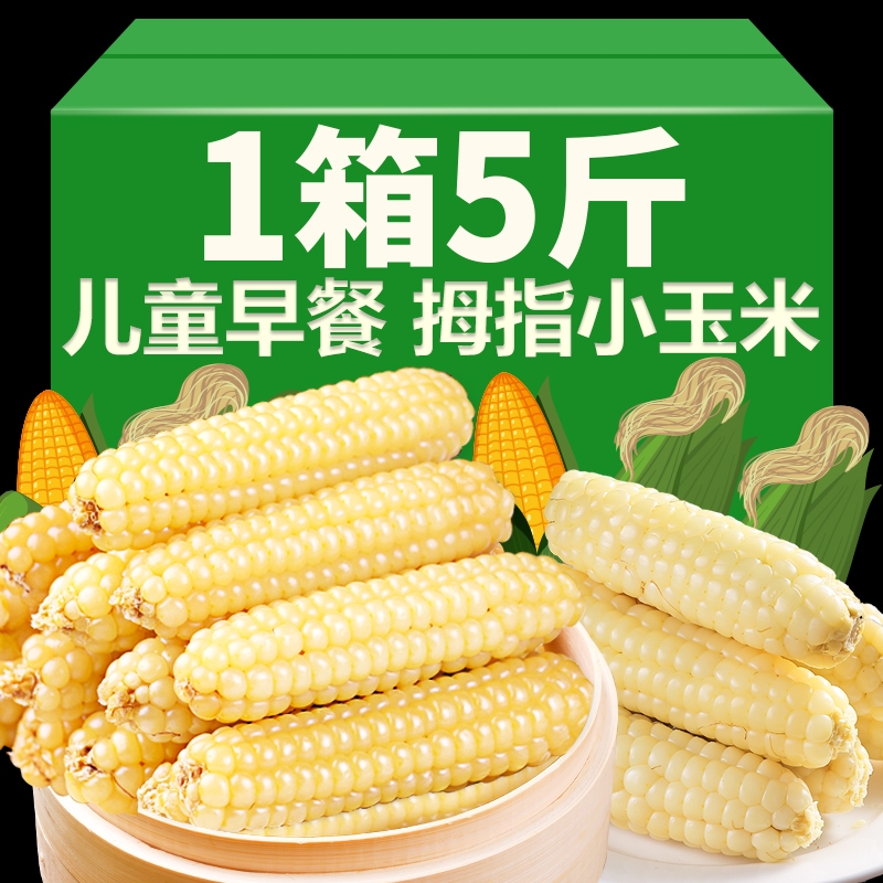 云南西双版纳拇指小玉米新鲜傣家香糯小手指迷你袖珍儿童玉米早餐